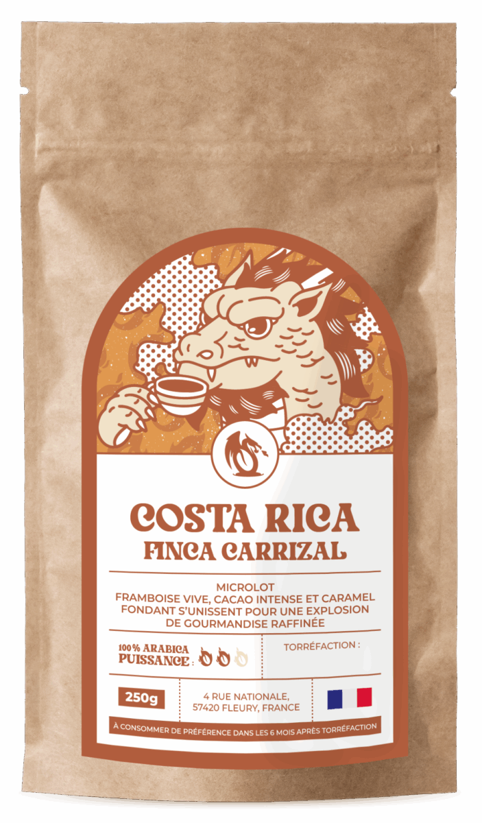 Finca Carrizal-mockup